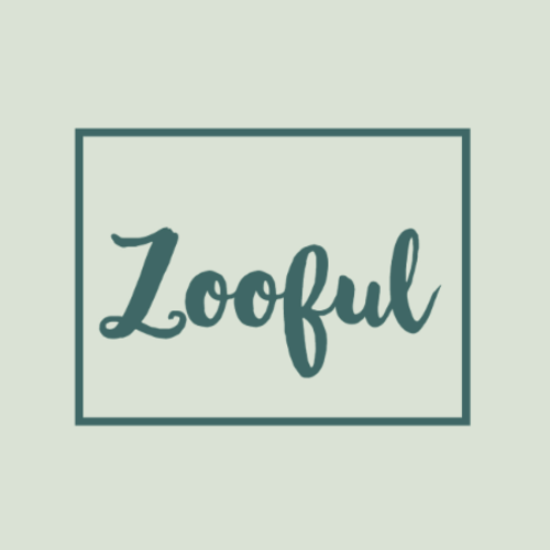 Zooful cashback